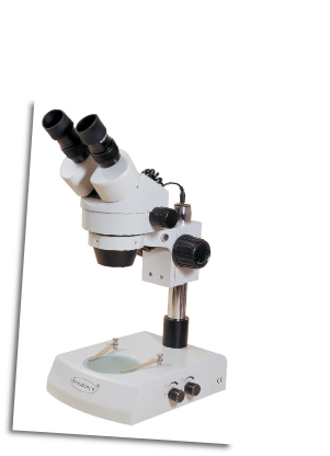 Stereo Zoom Microscopes