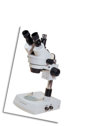 Stereo Zoom Triocular Microscopes